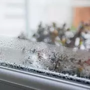 3 Simple Hacks to Stop Condensation on Windows This Winter