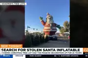 40-Foot Inflatable Santa Stolen from Phoenix Christmas Tree Farm