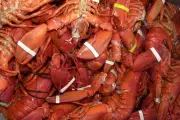 $400K Lobster Shipment Hijacked En Route to Costco in Organised Heist
