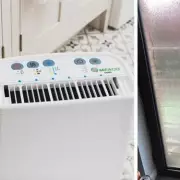 5-Year Dehumidifier Review: How £180 Meaco Fought UK Mould