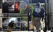 76-Year-Old Woman Found Dead in NYC Flat, Bloodied Skateboard at Scene