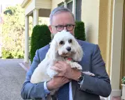 Albanese's Summer Reading List: 6 Books for the PM's Break