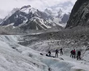 Alpine Glaciers Face Peak Extinction Rate Within Eight Years, Study Warns