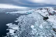 Arctic Sea Ice Hits Record Low in 2024, Scientists Warn of Accelerating Climate Crisis