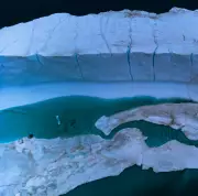 Arctic Warming at Double Global Rate in Hottest Year on Record