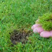 Banish Lawn Moss Naturally for 65p with Baking Soda Hack