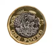 Bee £1 Coin: From 'Super Rare' to Face Value - Collector's Warning