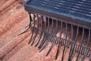 Bird-Proofing Solar Panels: UK Costs, Solutions & When It's Worth It