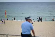 Bondi Attack Exposes Gaps in Australia's Gun Laws: A Call for National Cohesion