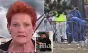 Bondi Attack Sparks Pauline Hanson PM Calls Amid Immigration Debate