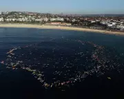 Bondi Paddle-Out: Hundreds Form Ocean Circle in Moving Tribute to Mass Shooting Victims