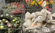B&Q and Morrisons Spark Outrage as Easter Decorations Replace Christmas Stock