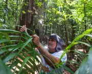 Brazil's Quilombola Community Demands Land Rights Ahead of COP30