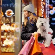 Budget Dog Toys Under £15: Aldi, Asda, Tesco & Sainsbury's Christmas Gifts