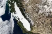 California's 'Radiation Fog' Mystery Explained: No Nuclear Threat