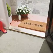 Cat Missing for Two Years Returns in 'Christmas Miracle' Family Reunion