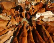 China Slaps 55% Tariff on Australian Beef Imports, Shaking Trade Relations