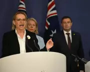 Coalition's Bondi Attack Claims: Ministers Link Palestine Recognition to Terrorism