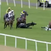 Constitution Hill labelled a 'poor jumper' after third fall in four starts