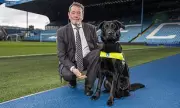 David Blunkett Urges EFL to Save Sheffield Wednesday from 'Total Humiliation'