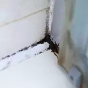 Dissolve Bathroom Sealant Mould in 2 Hours with This 1 Powerful Product