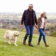 Dog's 'Check-In' Glance on Walks is a Sign of Perfect Training