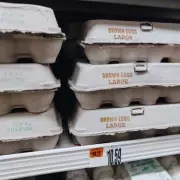 Egg Expert Reveals 1 Simple Check for Fresher, Better-Tasting Eggs