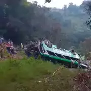 Eight dead, 19 injured in Mexico Christmas bus plunge down 600ft embankment