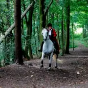 Emmerdale shock: Kim Tate's killer horse Ice dies in tragic off-screen twist