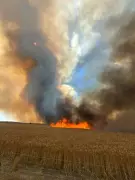 Farmer Dies Fighting Bushfire in Western Australia's Ravensthorpe