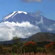 Five Dead in Mount Kilimanjaro Helicopter Crash During Medical Evacuation
