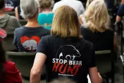 Florida's First Bear Hunt in a Decade Ends with 52 Bears Killed