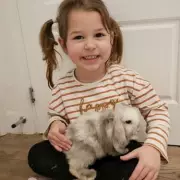 Flu Triggers Rare Brain Condition in 4-Year-Old: Dad's Christmas Hospital Warning