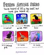 Forget Elf on the Shelf: Meet the 3 Aussie Birds Perfect for Your Festive Decor