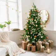 From Pagan Roots to Royal Trend: The Real History of UK Christmas Trees