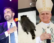 From Papal Hope to a Drunk Raccoon: The Uplifting Stories That Defined 2025