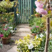Garden expert Bex Edwards reveals 'most outstanding plant' to transform your space