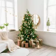 Garden Expert's Tip: Don't Bin Your Christmas Tree, Turn It Into Mulch