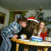 Hercules the 70st Bear: The Scottish Couple Who Raised a Grizzly as Their Son