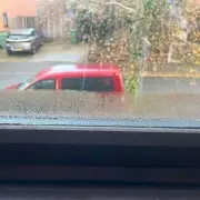 I Banished Window Condensation Overnight with One Simple Tool