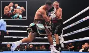 Jai Opetaia's Knockout Victory Marred by Cinkara's Broken Neck Injury