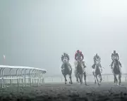 Kempton Park's Future in Jeopardy as Secret 2018 Sale Option Revealed