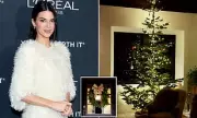 Kendall Jenner's Minimal £18M Montecito Ranch Christmas Decor Revealed