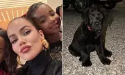 Khloé Kardashian Defies PETA Backlash, Flaunts New Designer Puppy on Instagram