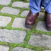 Kill Patio Moss in 15 Minutes: Mrs Hinch Fans Swear by Cheap Washing Powder