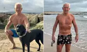 Labrador Saves Owner's Life on Dorset Beach After Cardiac Arrest