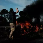 Lumpy Skin Disease Spreads in Europe: UK Bans French Cheeses to Protect Herds