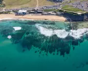 Man Charged for Displaying Nazi Tattoos at Australian Beach