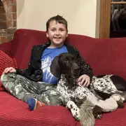 Mum's Christmas Day walk saved son, 8, from deadly brain tumour