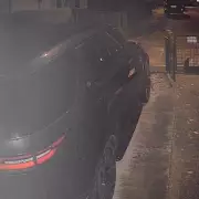 Mystery 'Car-Bonnet High' Big Cat Filmed Prowling Malvern Driveway at 2am